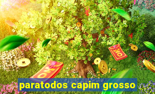 paratodos capim grosso